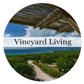 vineyard living