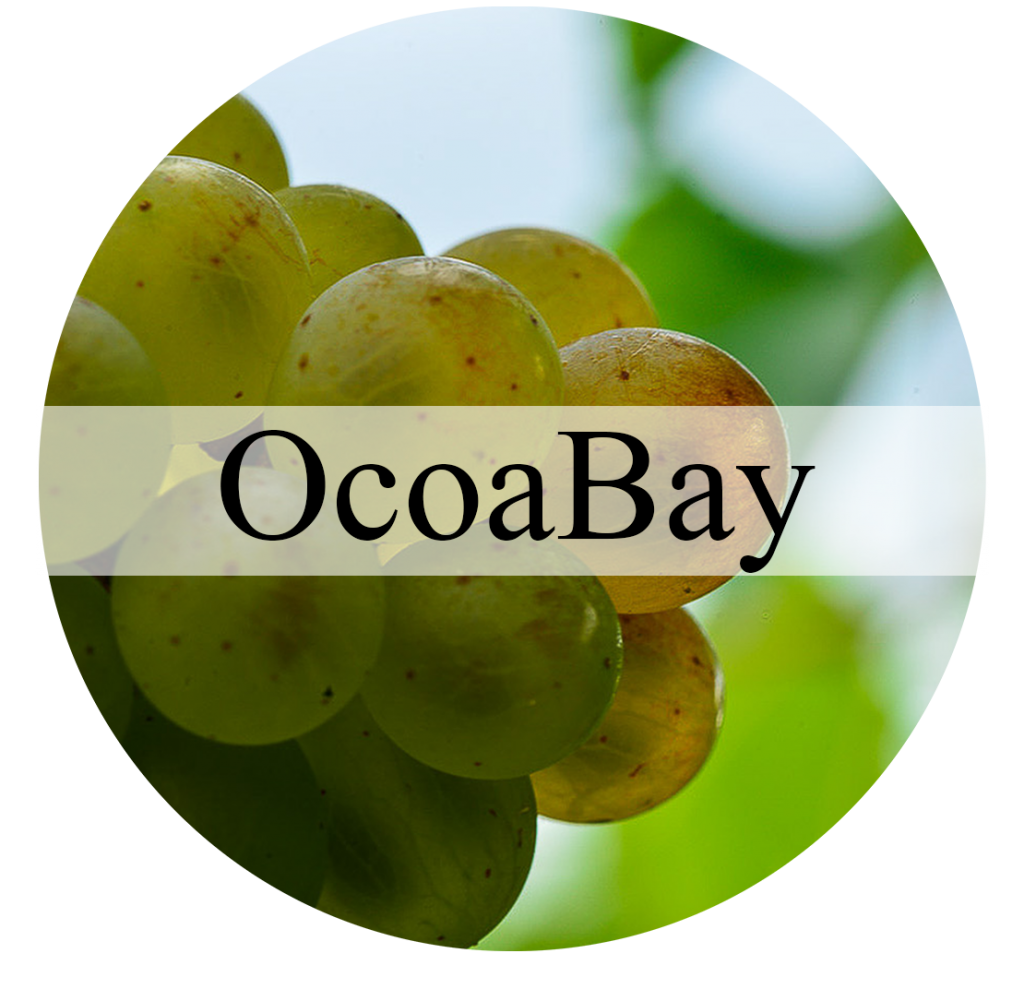 ocoabay button