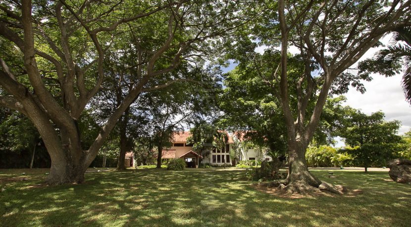 Punta Aguila 4, Casa de Campo, La Romana, Luxuy Villa for Sale in Dominican Republic00029